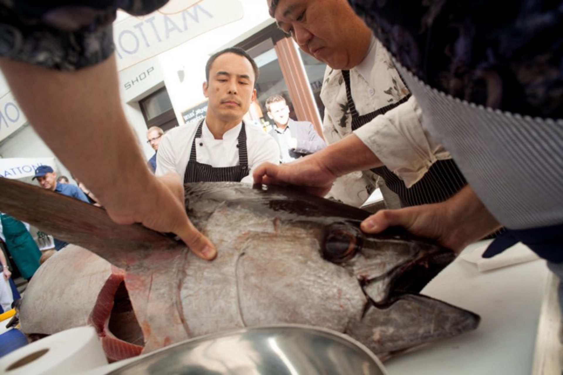 Porcování padesátikilového tuňáka v provedení Tadayoshi Ebina