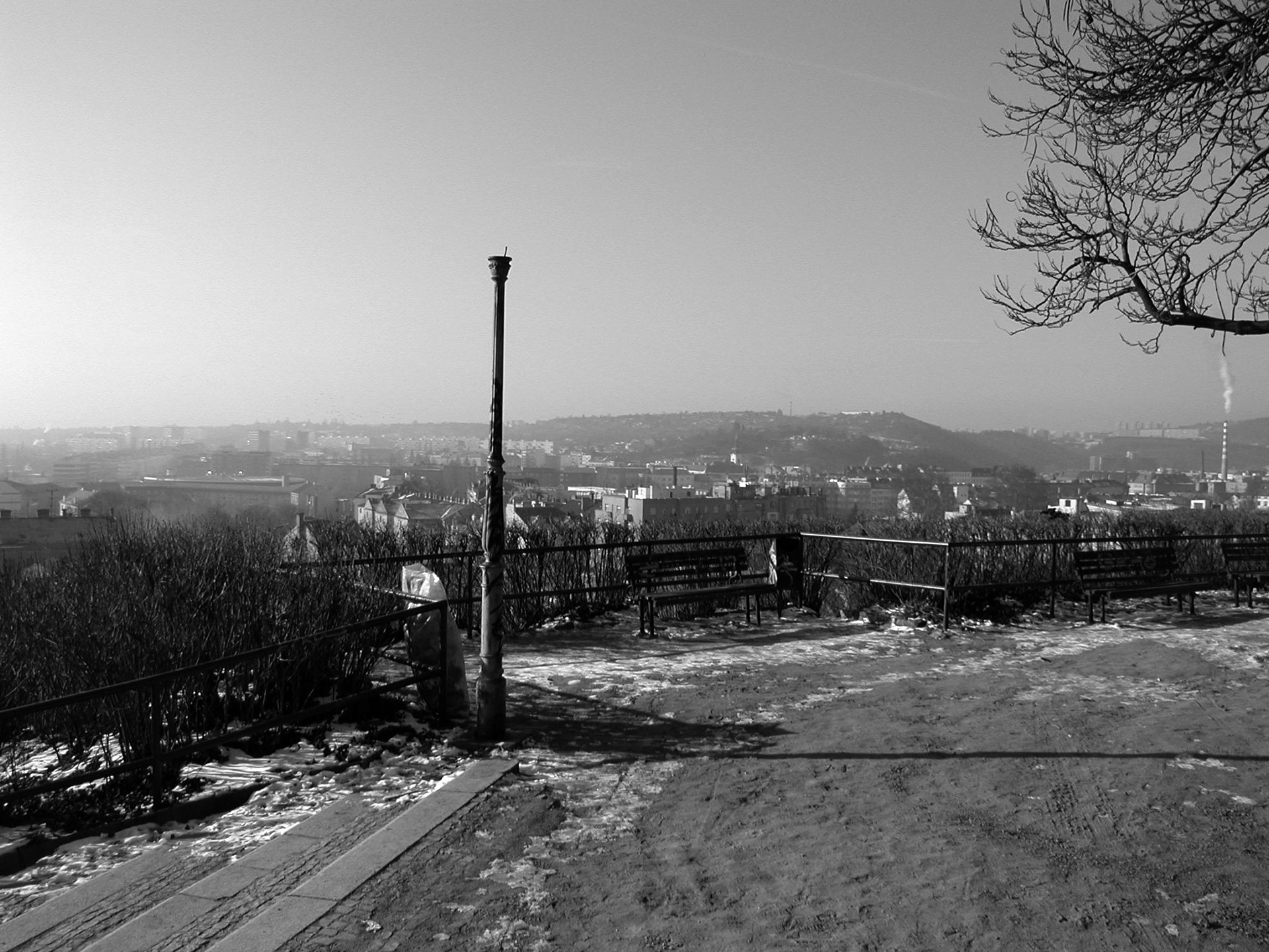 Denisovy sady Park, Brno