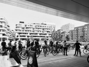 IMG_6273_web
